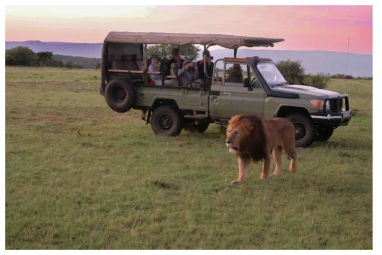 Planning Your Dream Uganda Wildlife Adventure