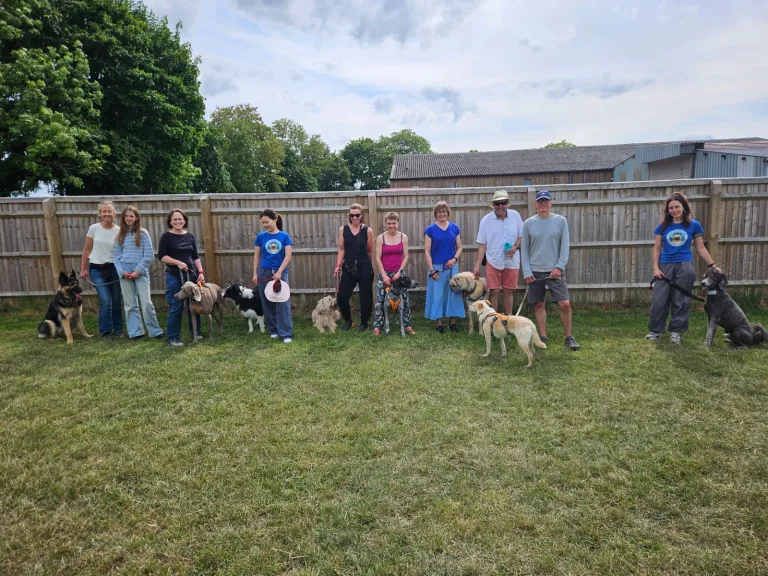 Reactive Dog Training in Oxford: Why Most Approaches Fail (And What Actually Works)