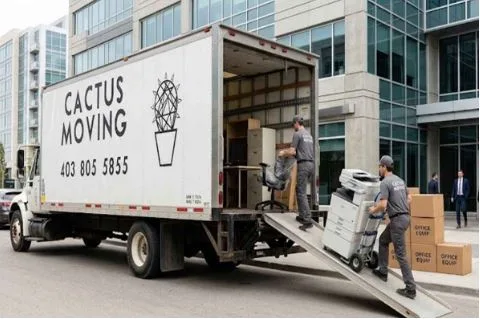 What Moving Services in Toronto Do Professionals Offer?