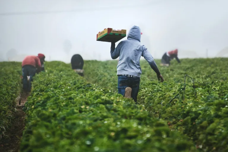 Legal Justice and Compensation for Farm Workers Injured by Paraquat