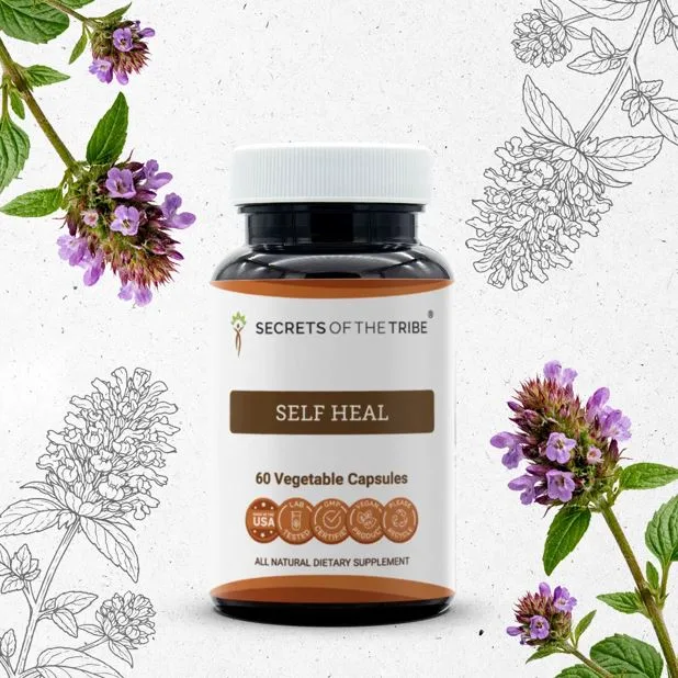 Does Self-Heal Smell Like Mint? Why Its Family Name Can Be Misleading