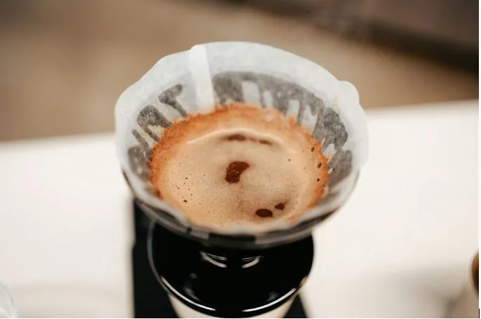 6 Best Mushroom Coffees For Health: Wellness-Focused Picks Reviewed by Daily Drinkers