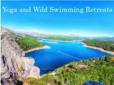 Why Wellness Retreats Are Transforming the Way We Travel