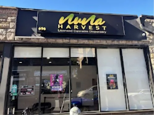 Beyond the Storefront: Nuna Harvest Issues a Bold Challenge to New York’s Cannabis Delivery Status Quo