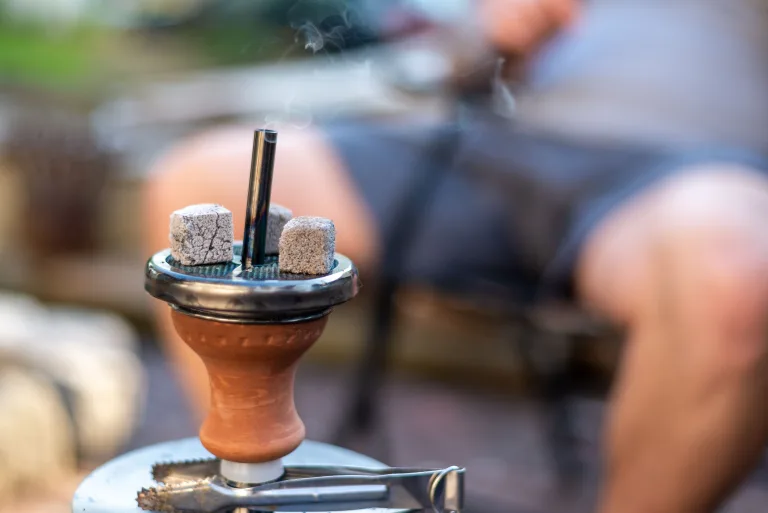 The Ultimate Guide to Hookah Flavor Pairings