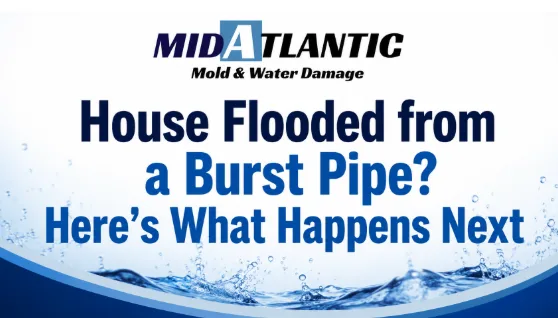 House Flooded from a Burst Pipe? Here’s What Happens Next
