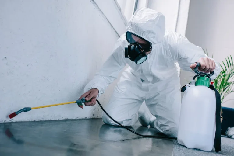 Pest Control SEO: Grow Your Business with Better Rankings