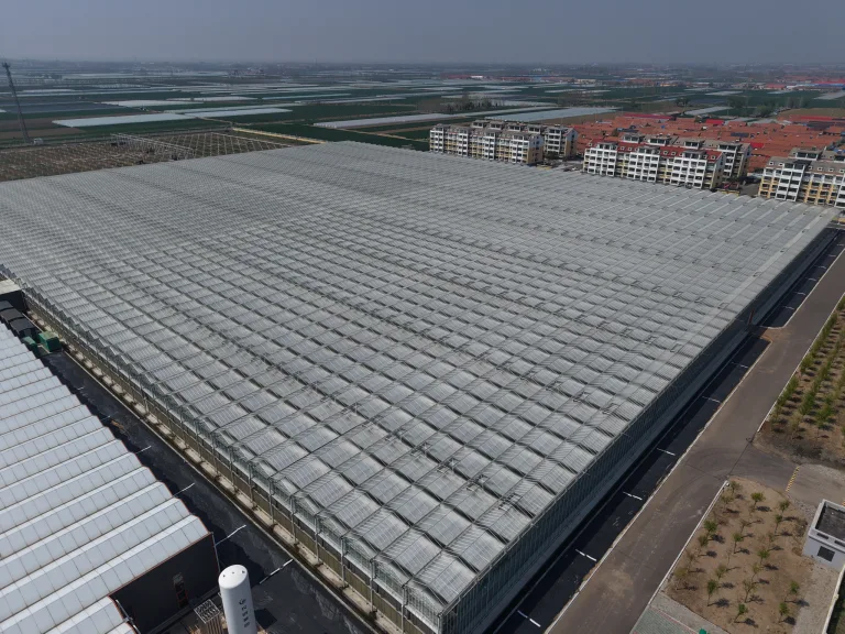 2026 Venlo Commercial Glass Greenhouse Selection Guide