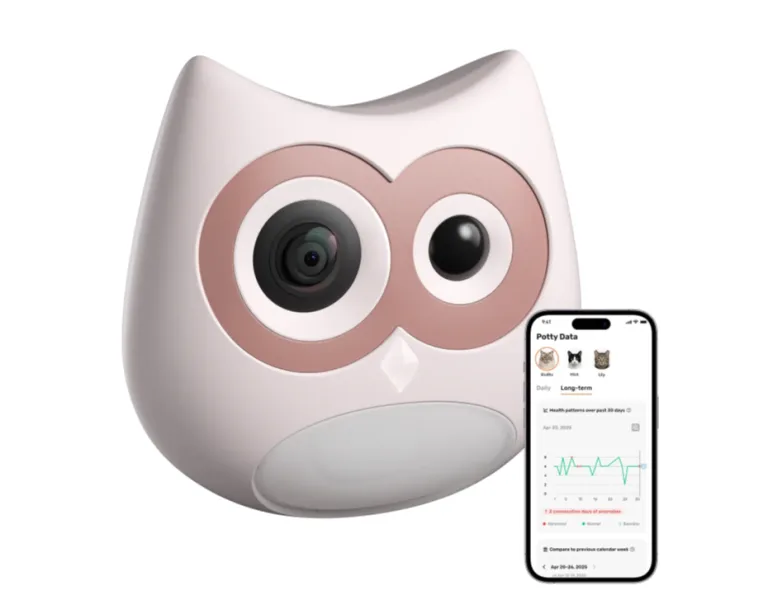 From Guesswork to Insight: The Litter Box Camera Shift