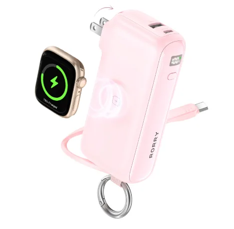 Plug In Power Bank: The Smart Charging Solution for Everyday Convenience