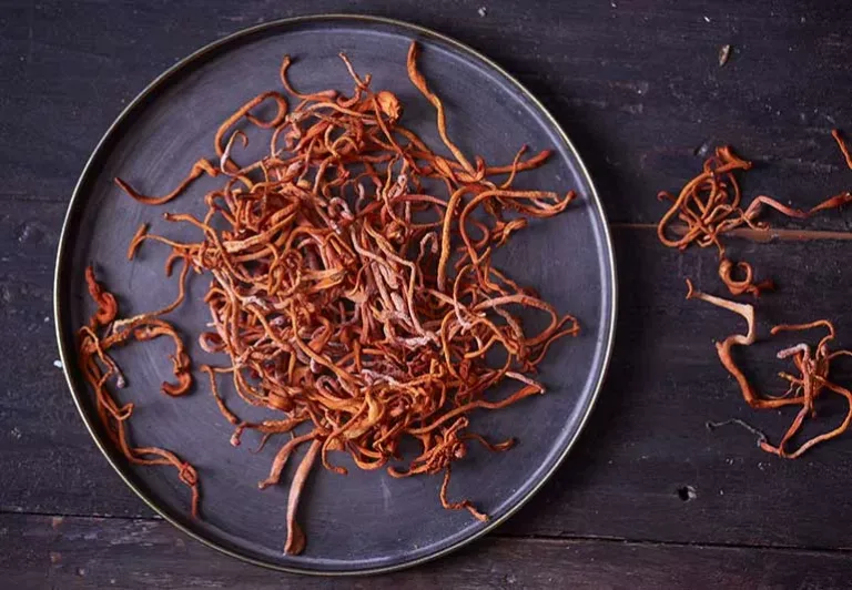 Cordyceps Supplements: What They Are and How to Choose the Right One