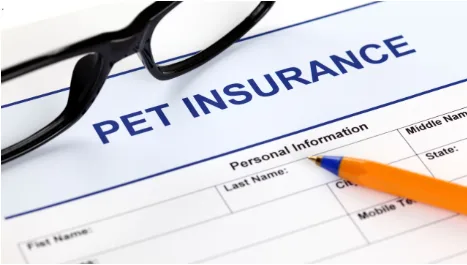 The Financial Case for Pet Insurance: Why More American Families Are Budgeting for Their Pets’ Health