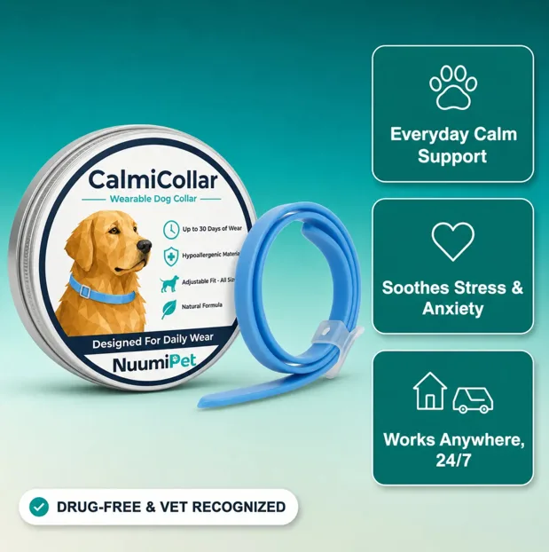 CalmiCollar Reviews: Don’t Buy CalmiCollar Dog Calming Collar Without Reading This