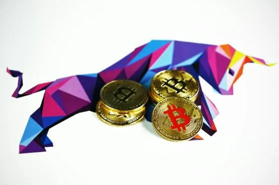 Crypto bull run: Signs, history and more