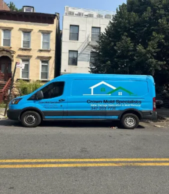 Crown Mold Specialists Reaffirms Its Mission to Protect NYC Homes Through Thorough Mold Remediation
