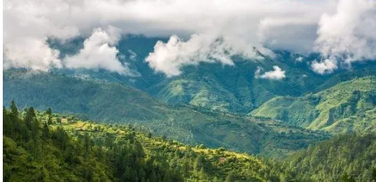 Uttarakhand Tour Packages with Flamingo Travels: A Perfect Blend of Spirituality and Adventure