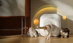 Pawswing Launches the World’s First Cat House with an Automatic Grooming Feature